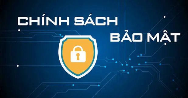 cách chúng tôi bảo vệ dữ liệu